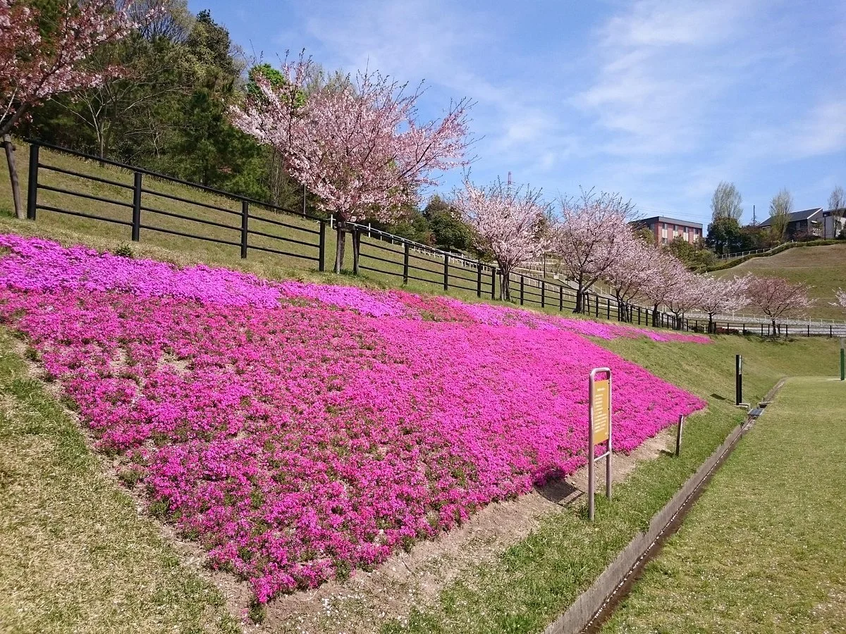 Harima Chuo Park