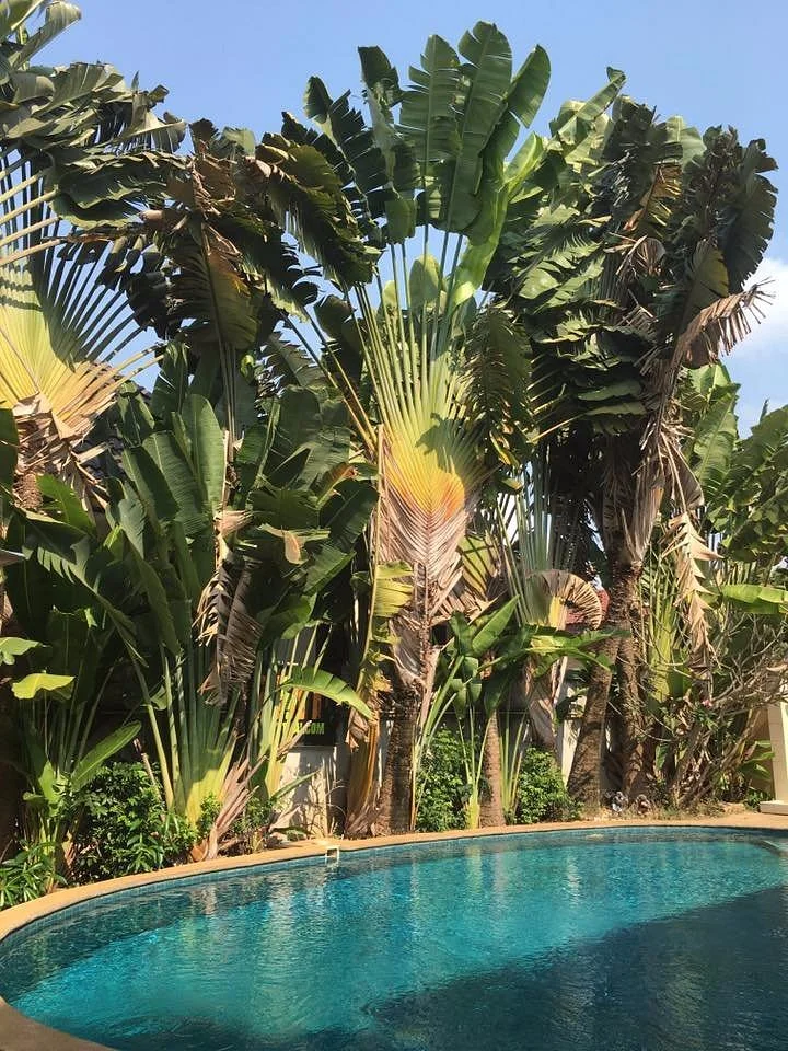 7 Muay Thai Gym & Beach Resort