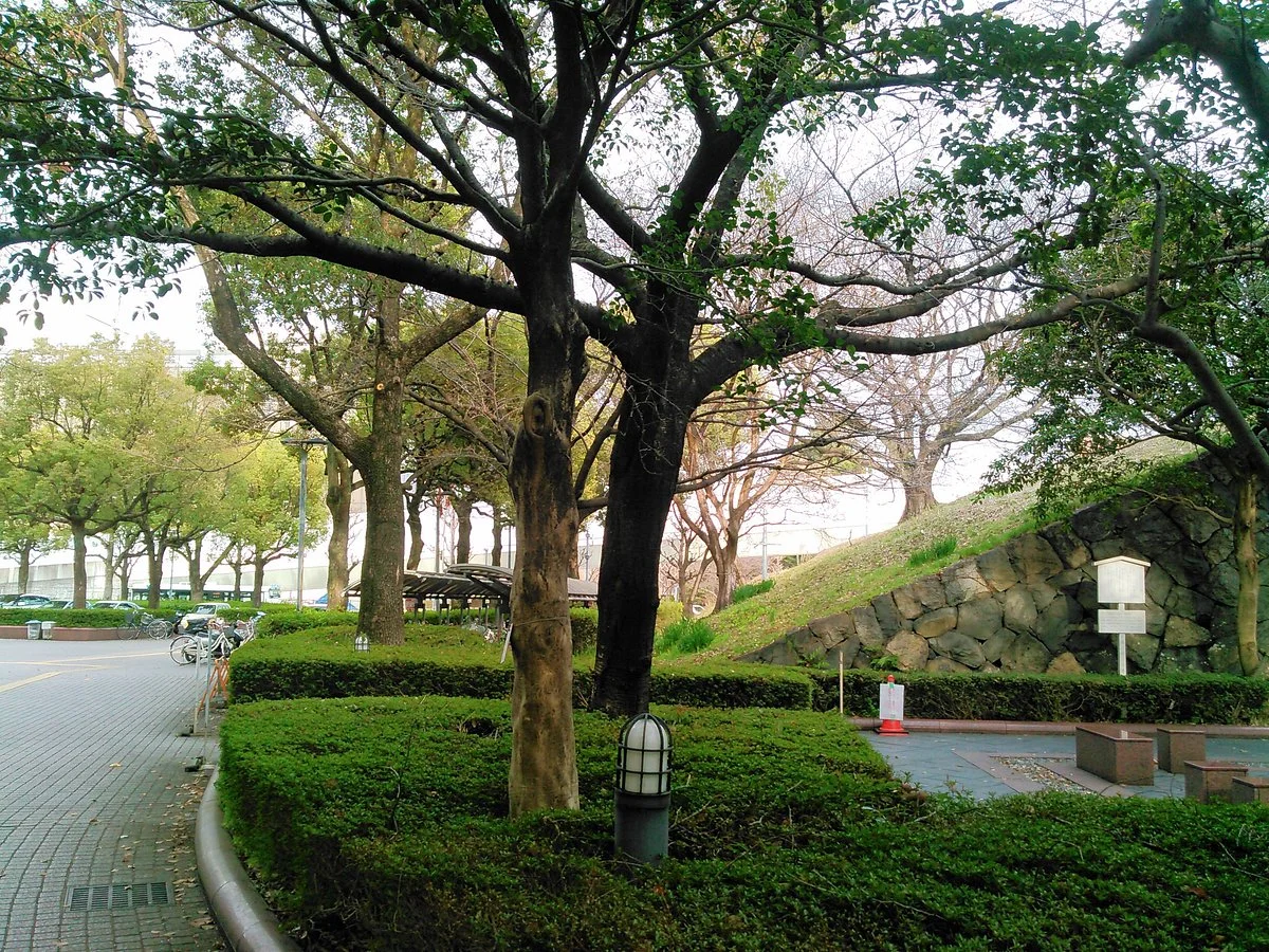 Aichi Prefectural Library