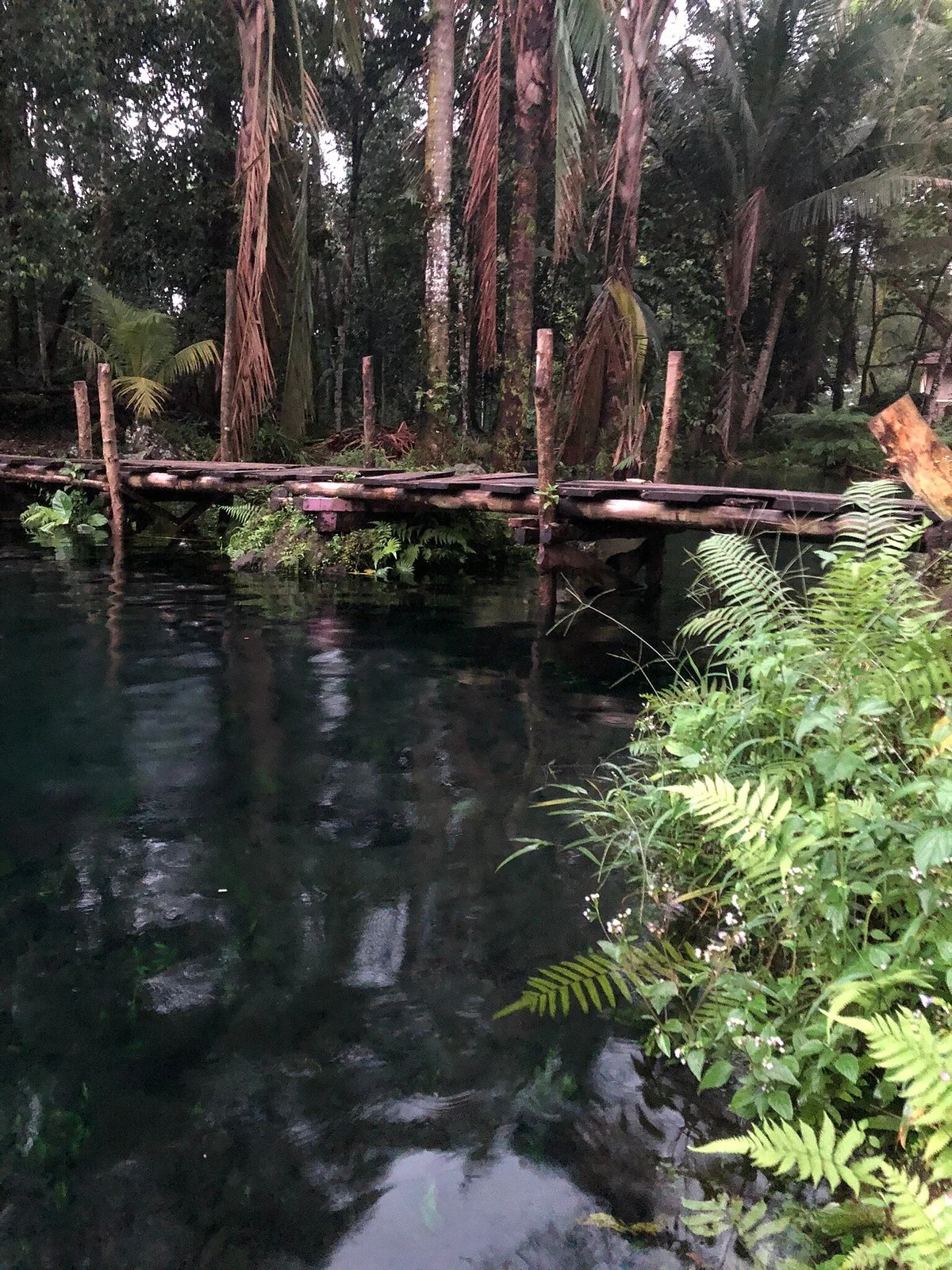 Telaga Nilem