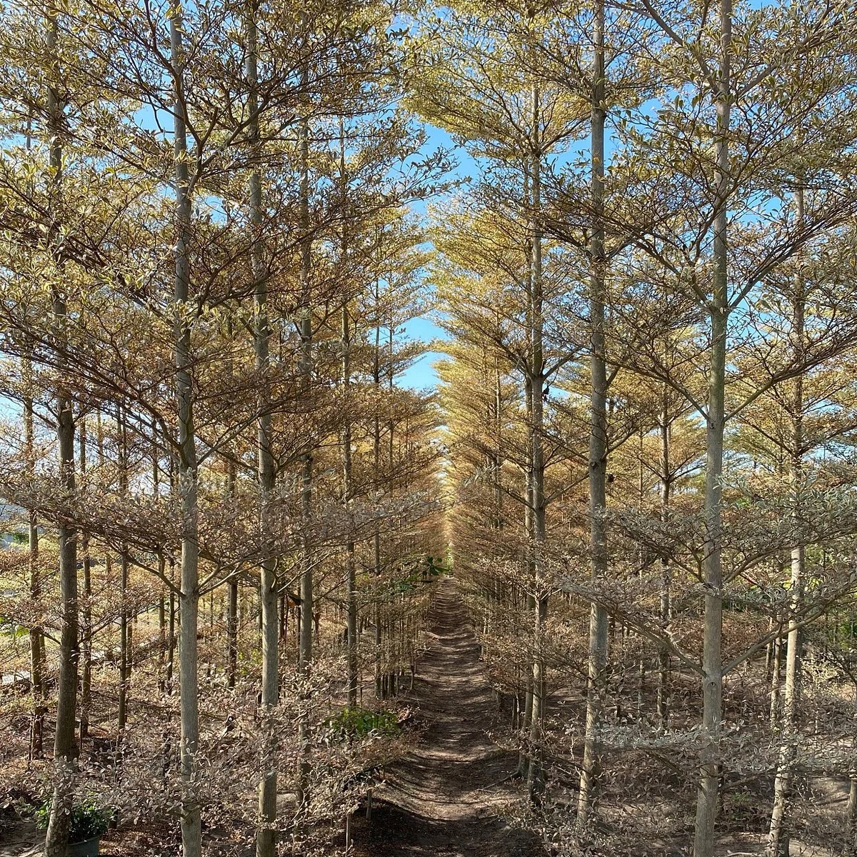 Tianwei Highway Garden