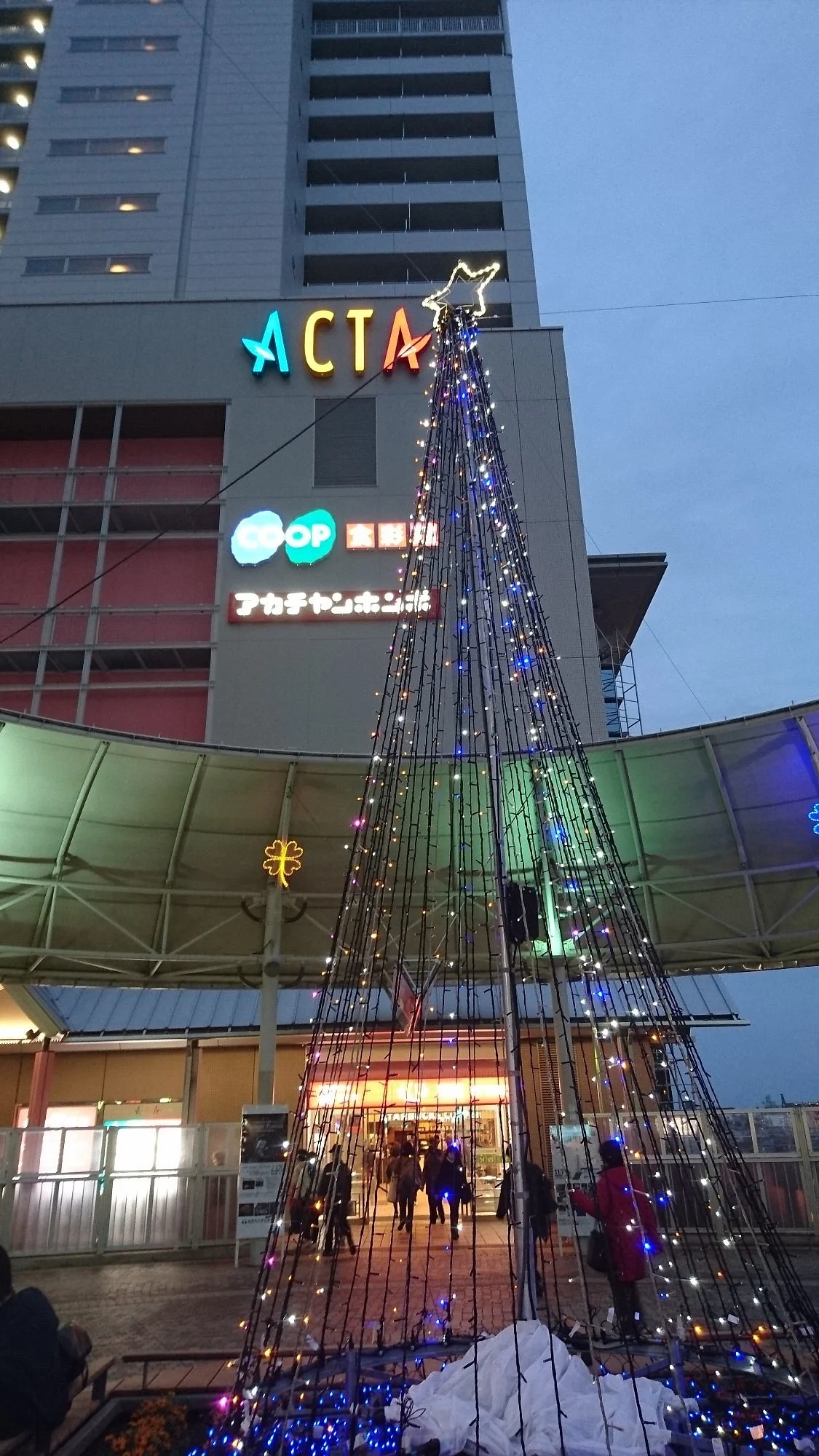 Acta Nishinomiya
