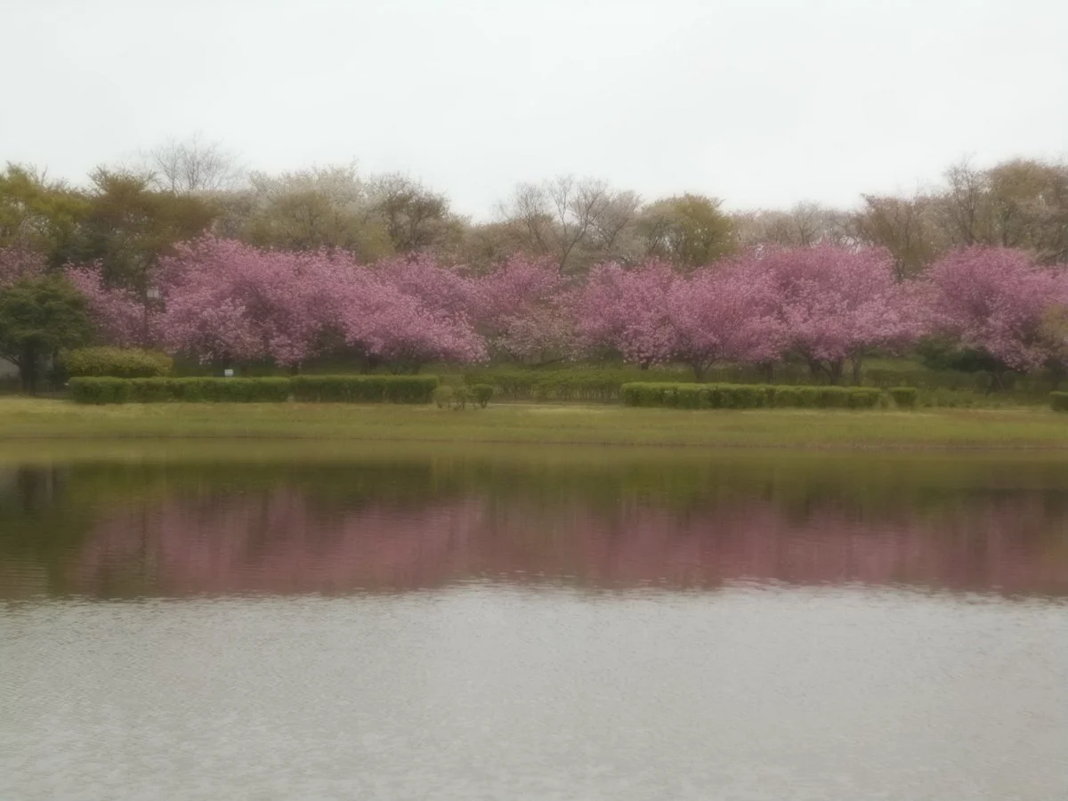 Iimoriyama Park