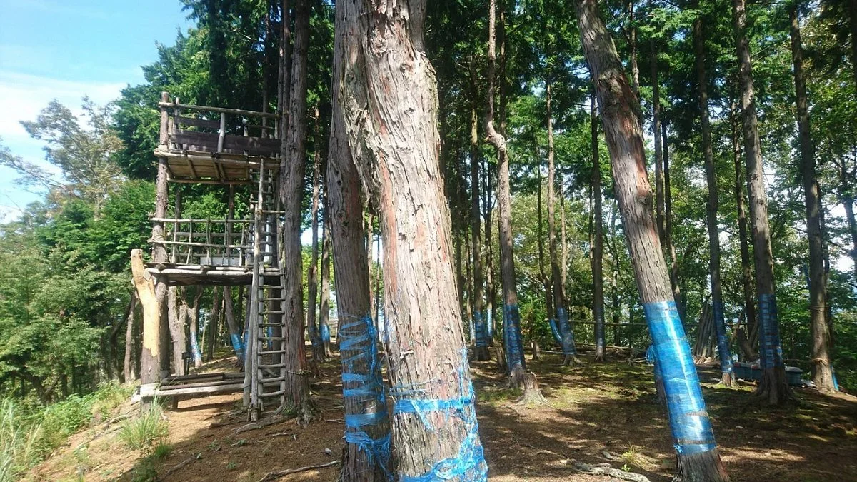 The Site of Kamaha Castle