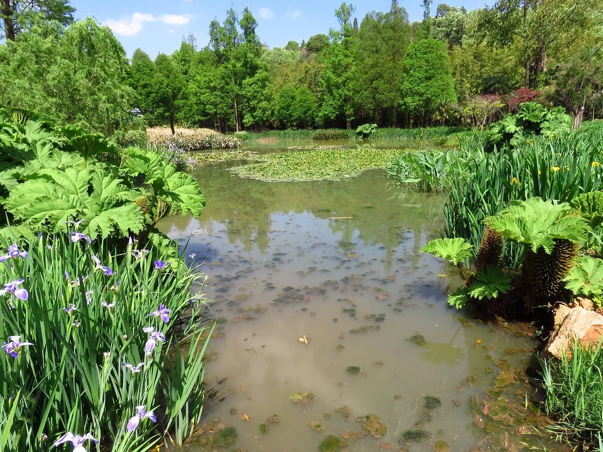 Kunming Botanical Garden