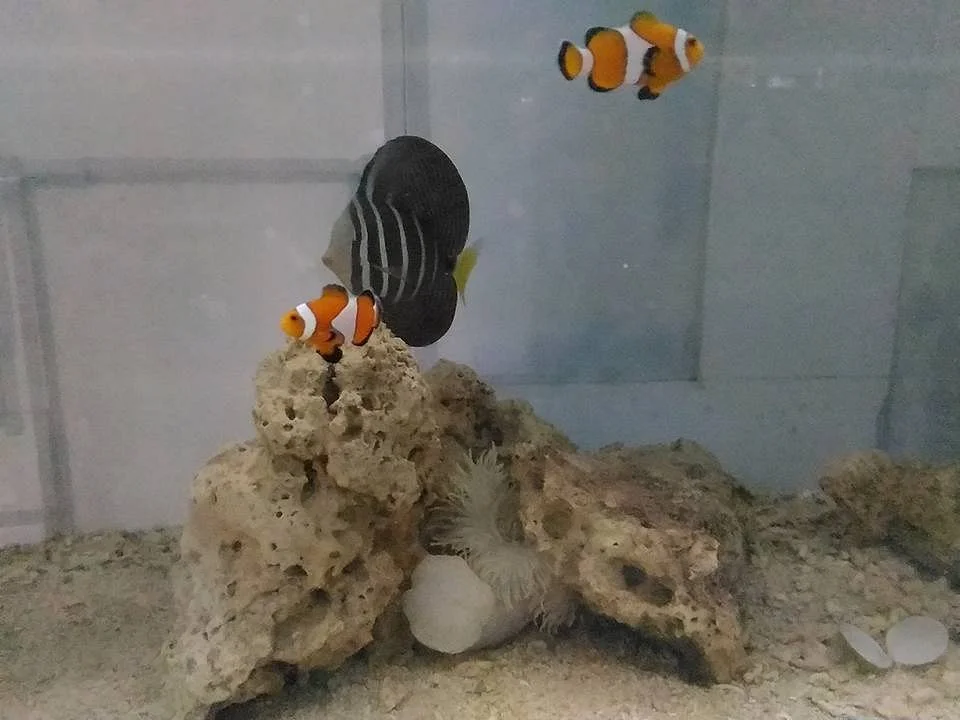 Bohol Aquarium Zoo