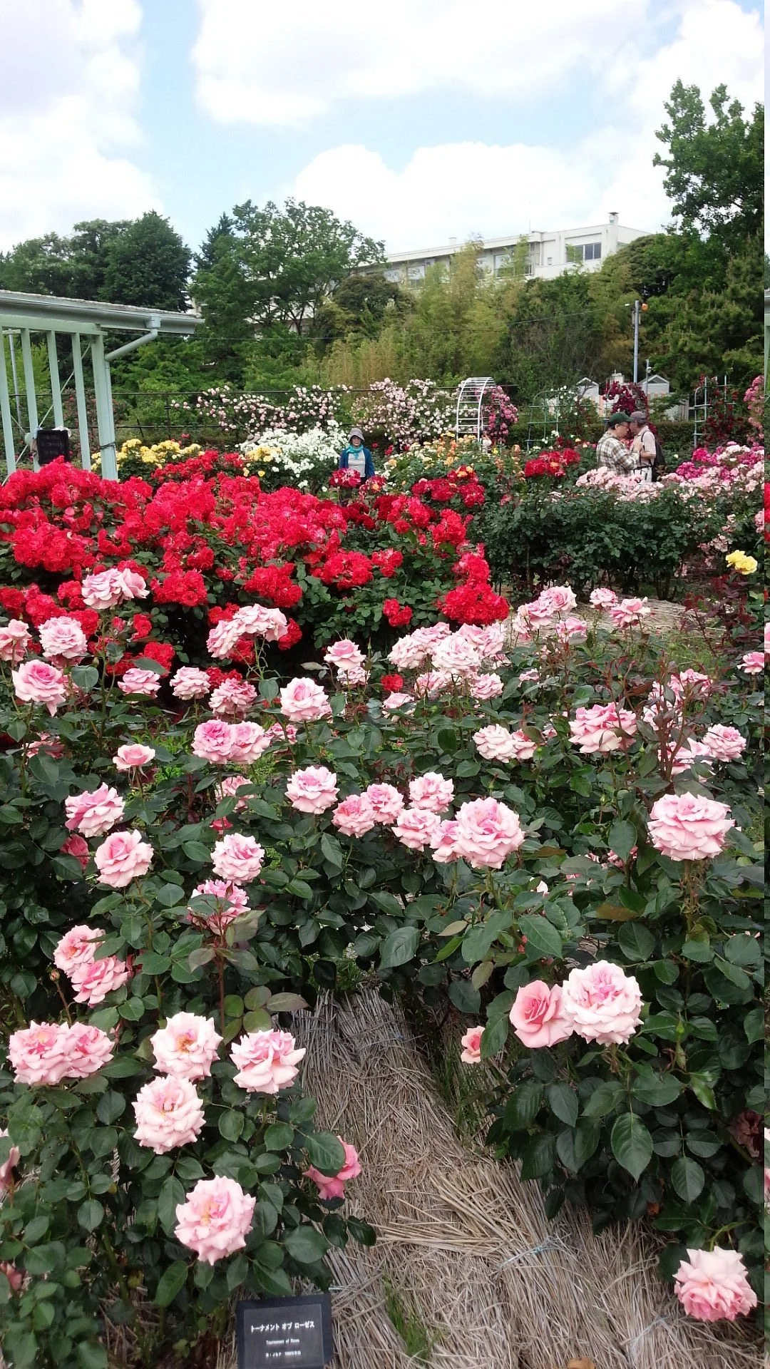 Hibiya Kadan Ofuna Flower Center