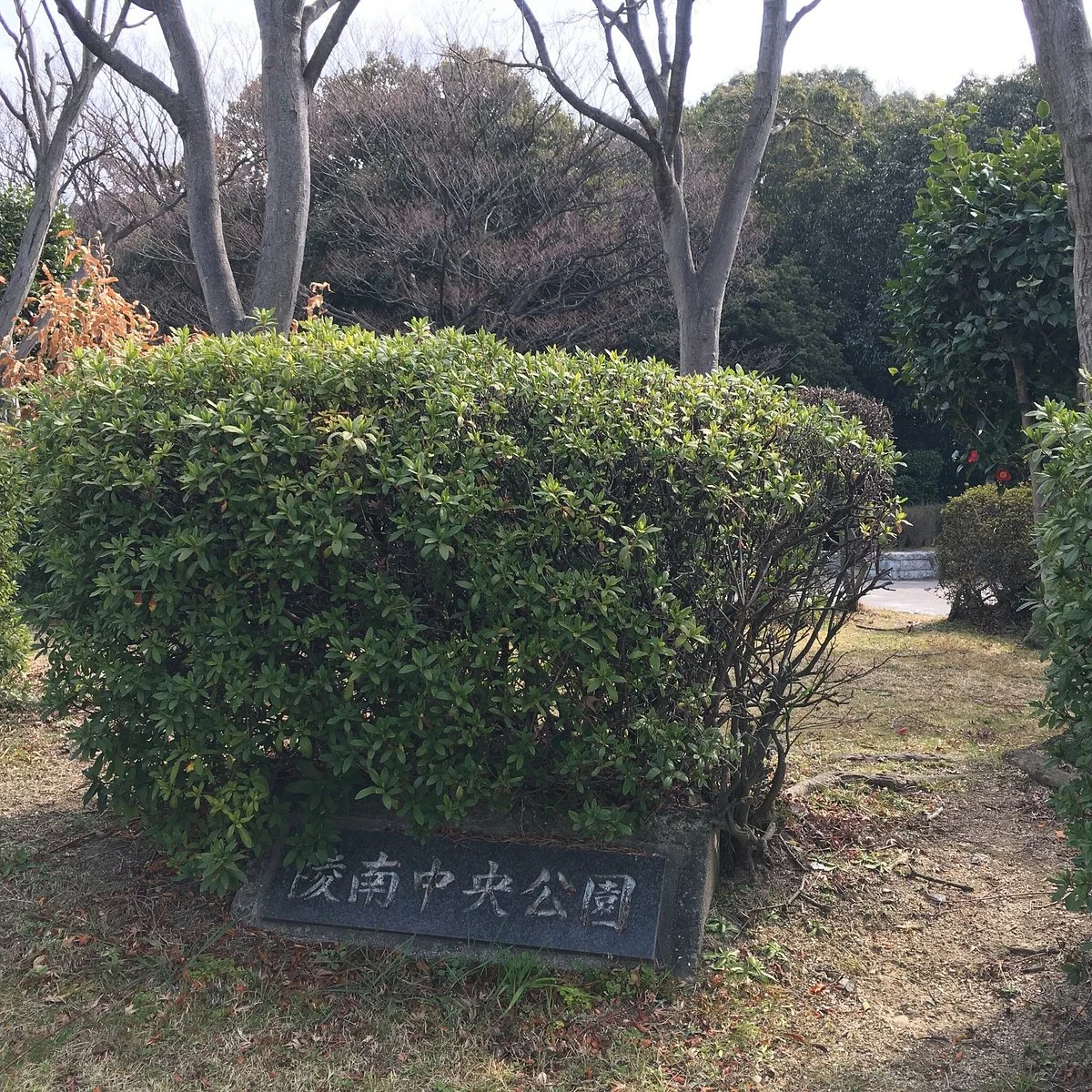Ryonan Central Park