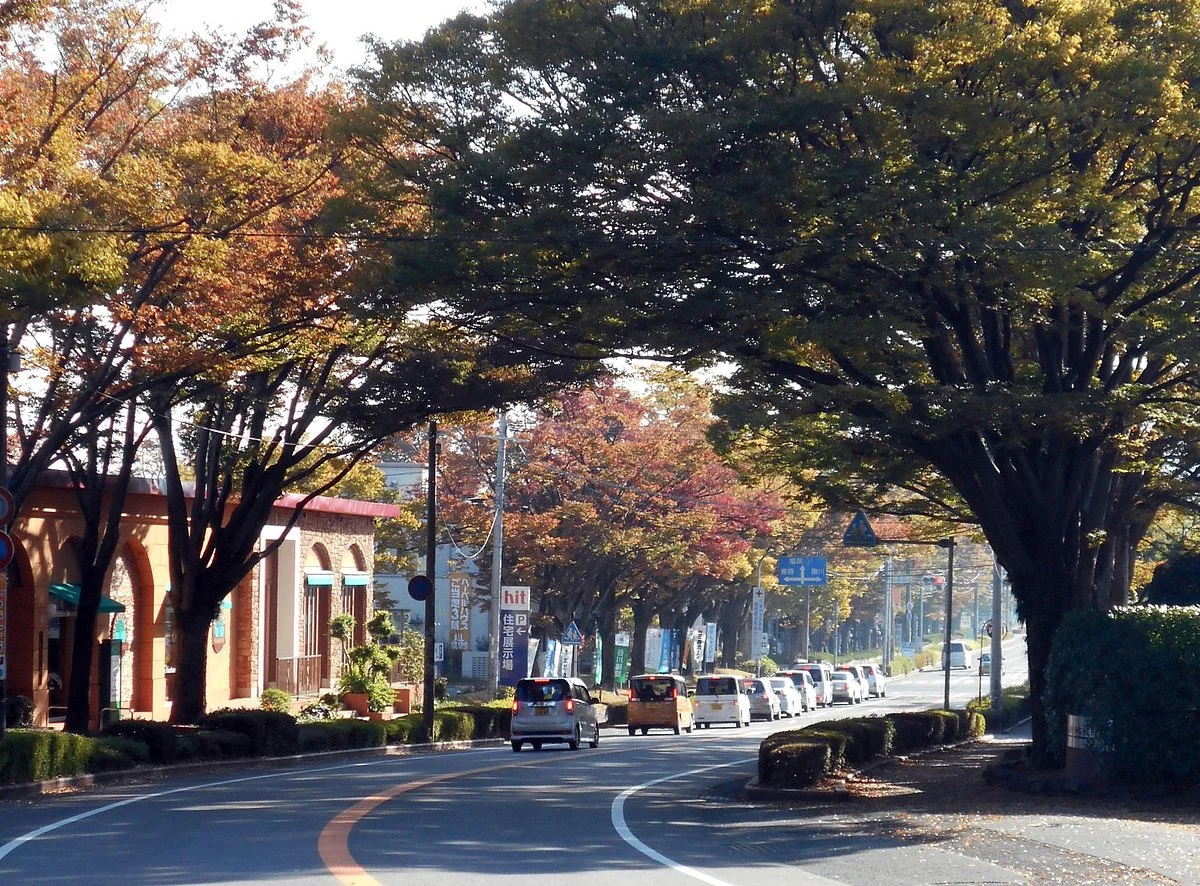 Bridgestone Dori