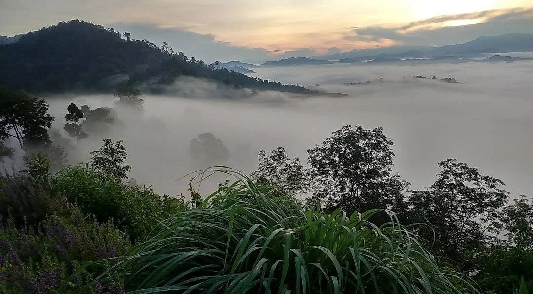 Kao Kai Nui