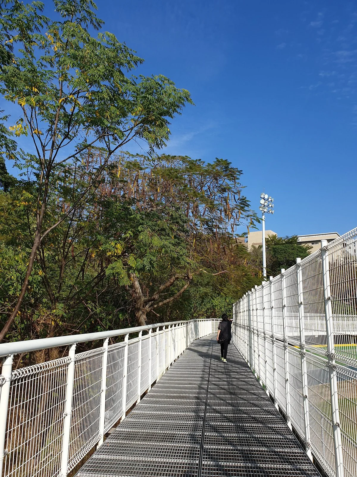 BaGua Mountain Trail