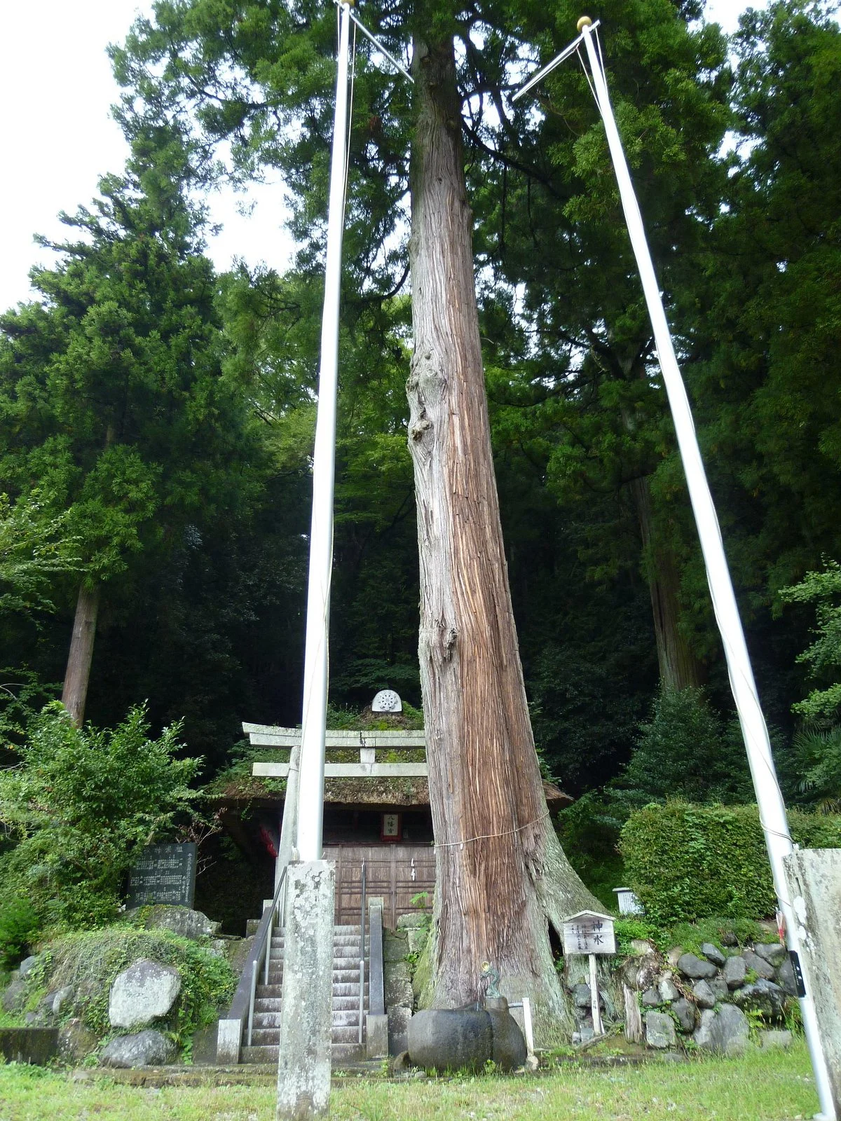 Yahata Shrine