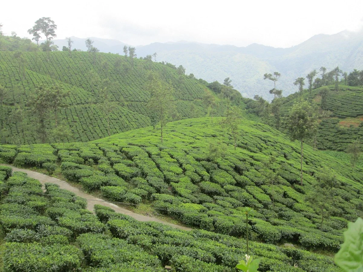 Thrissanku Hills