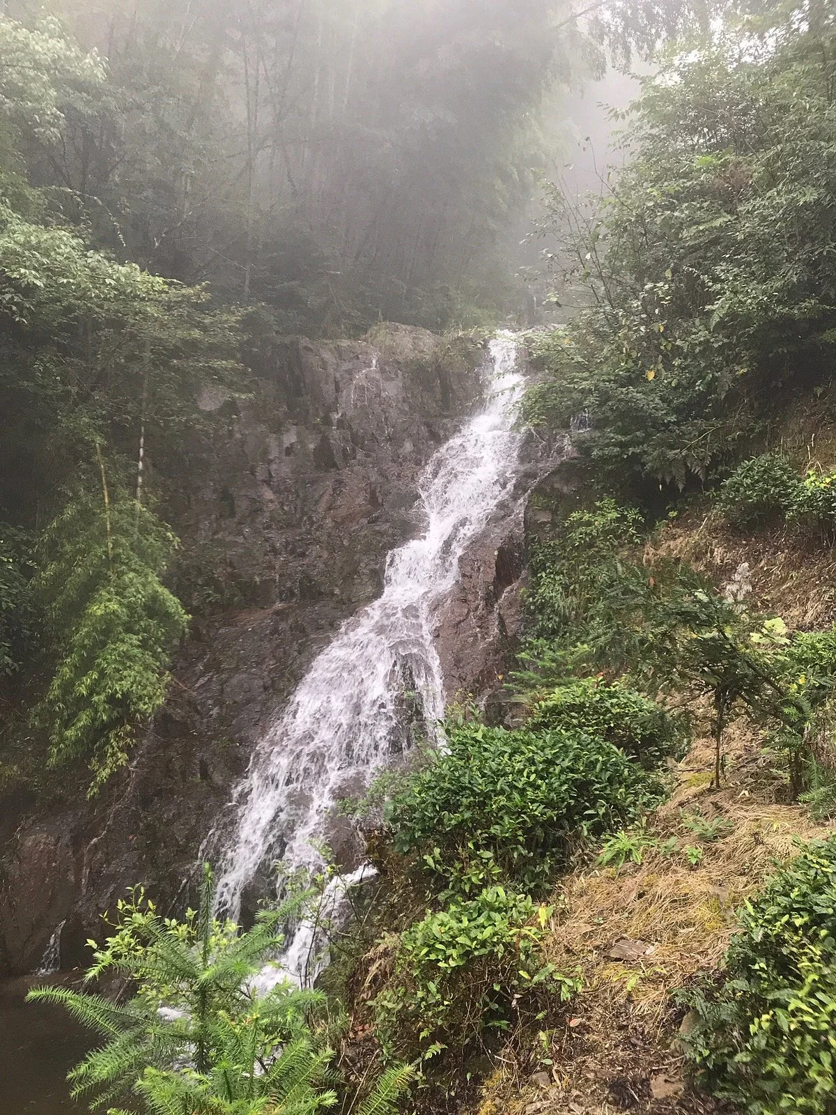 Dongbai Mountain