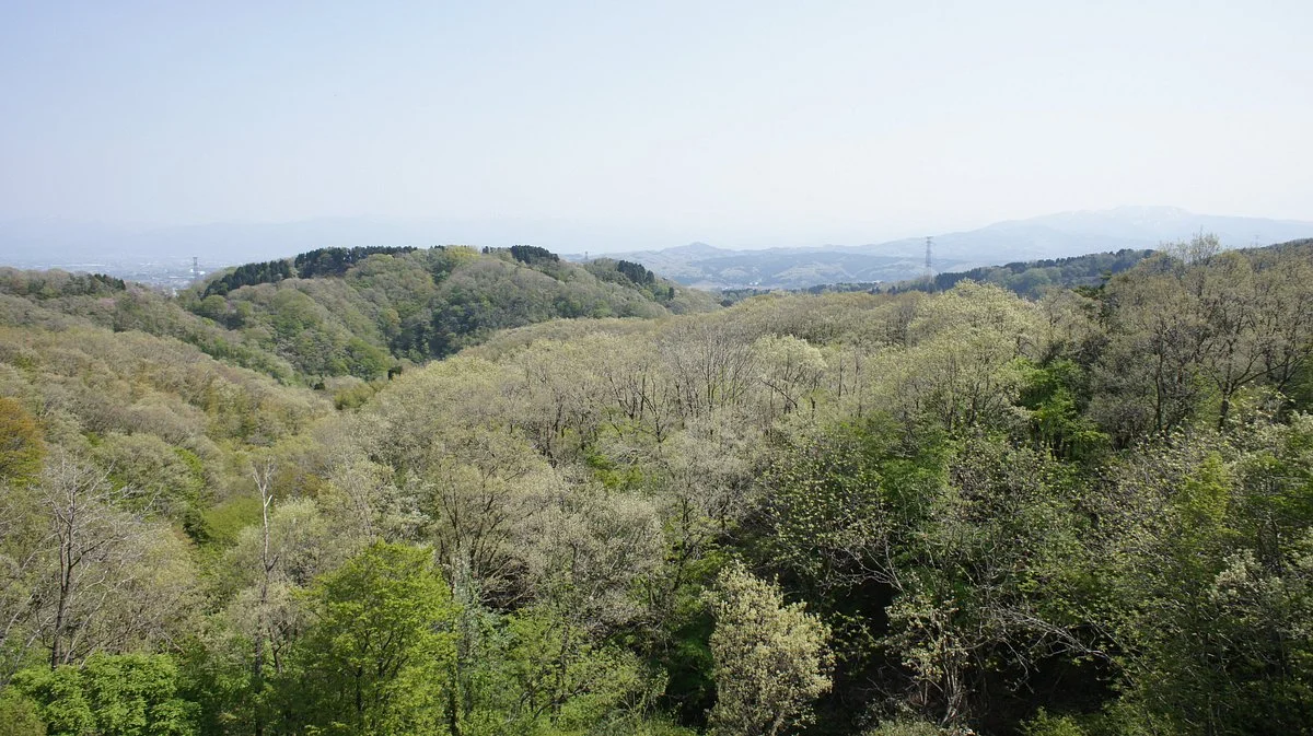 Genbeiko Battleground