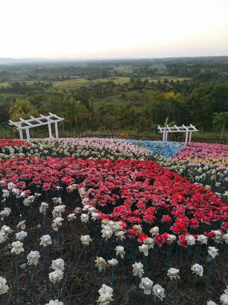 Jardin Necitas