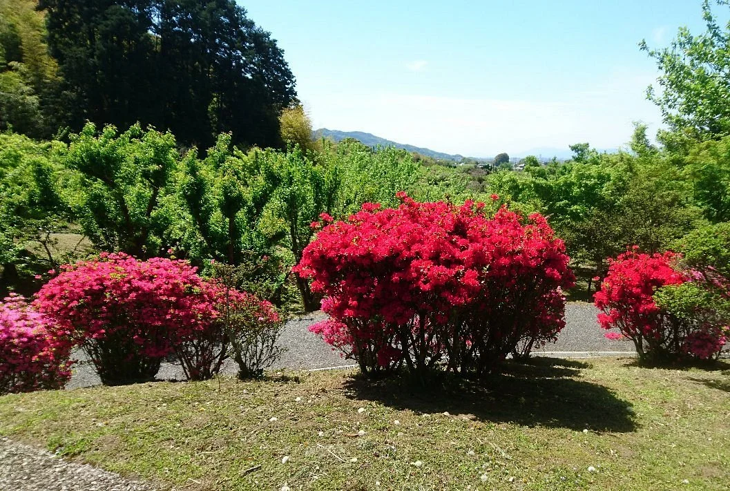 Kurume Tsubaki Park