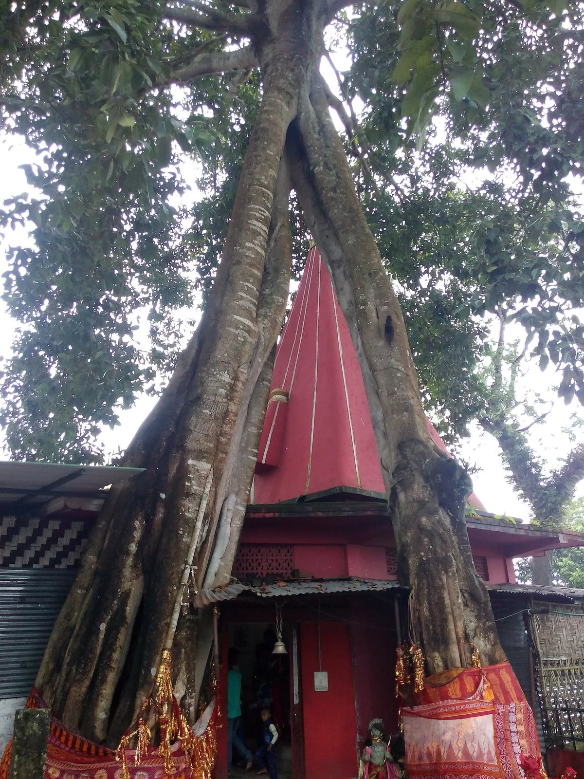 Bhramari Devi Temple