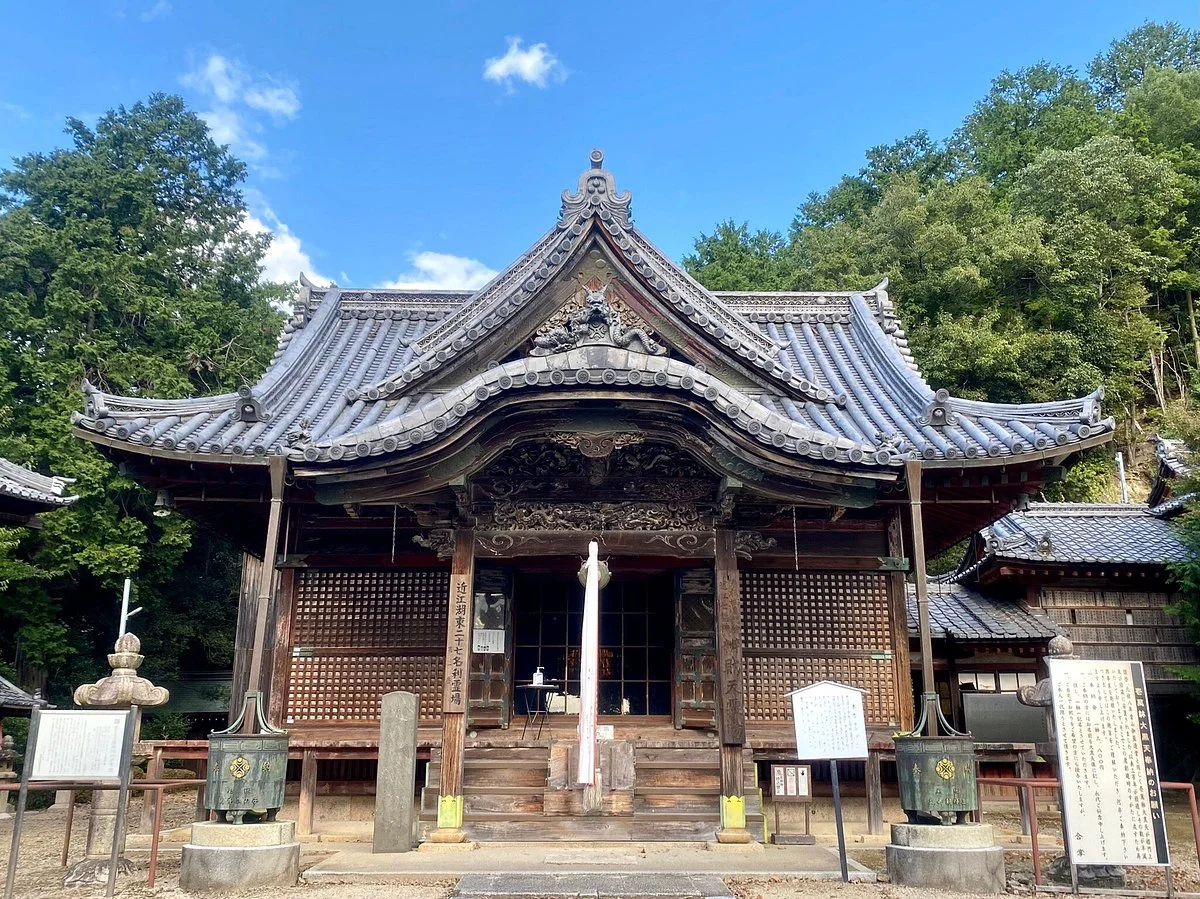 Longevity Institute - Ohora Sarasvati