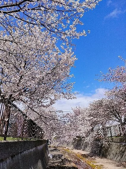 Kyugarugawa Ryokuchi Park