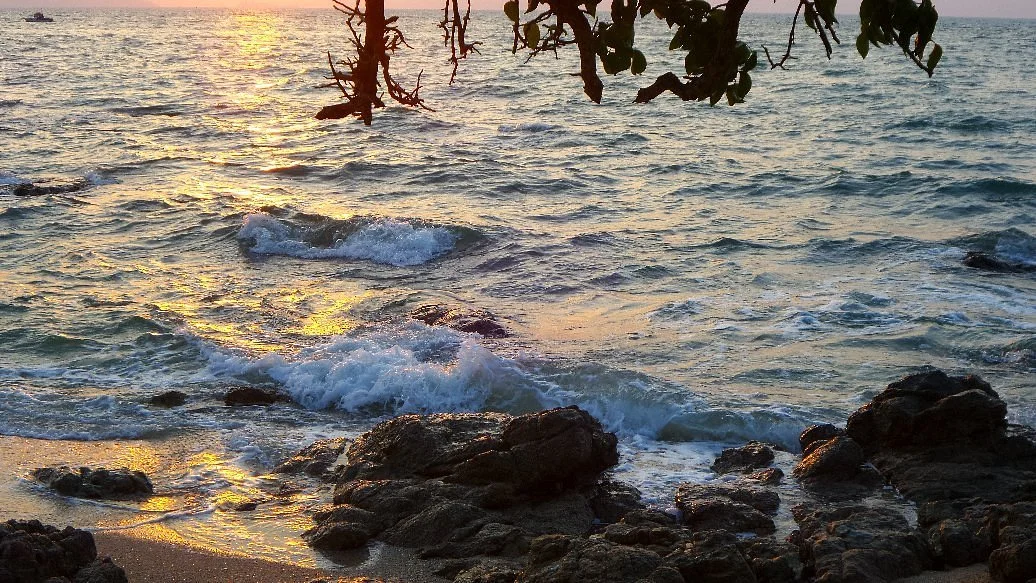 Bamboo Beach