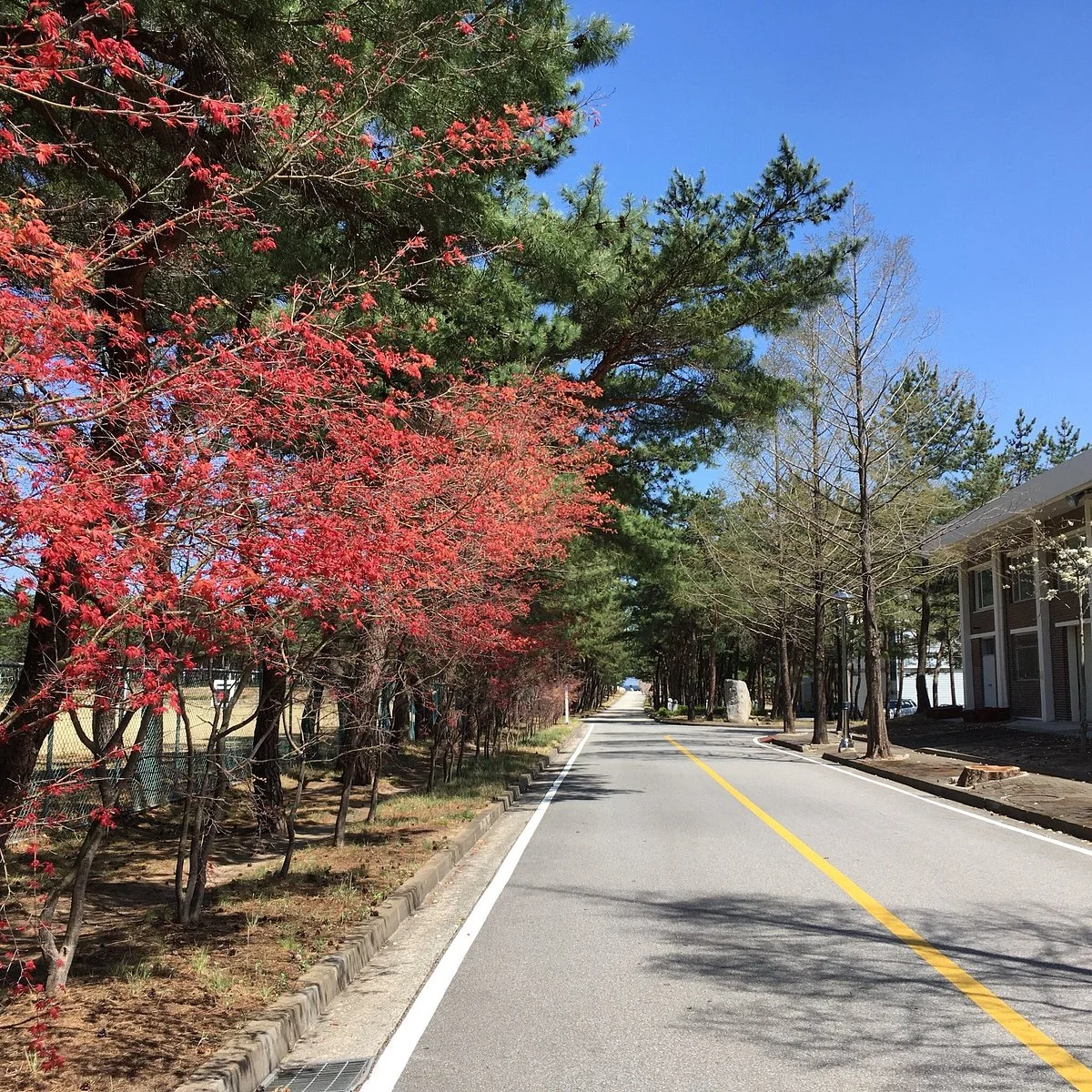 Gangwon State University