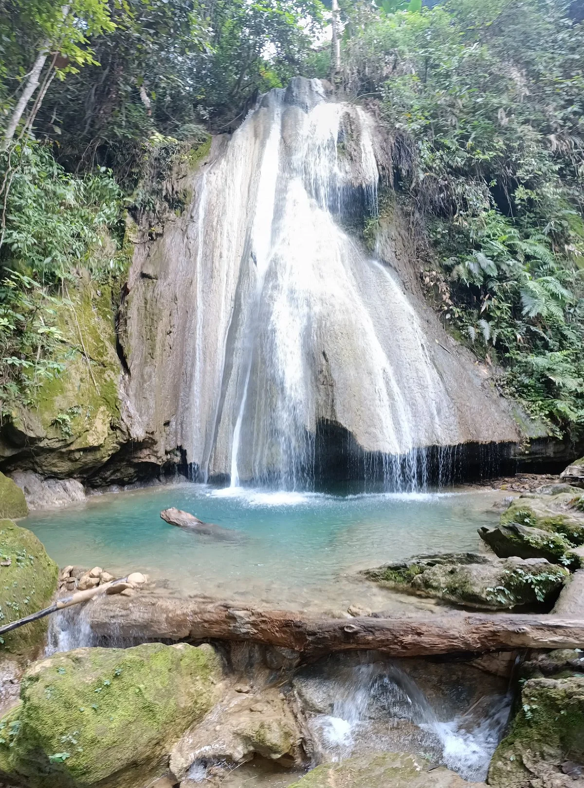 Yensabai Organic Farm