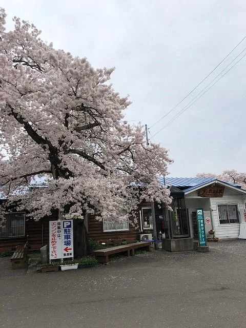 Ashinomaki Onsen Station