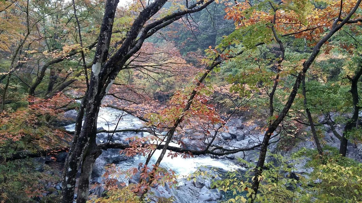 Nikko Botanical Garden
