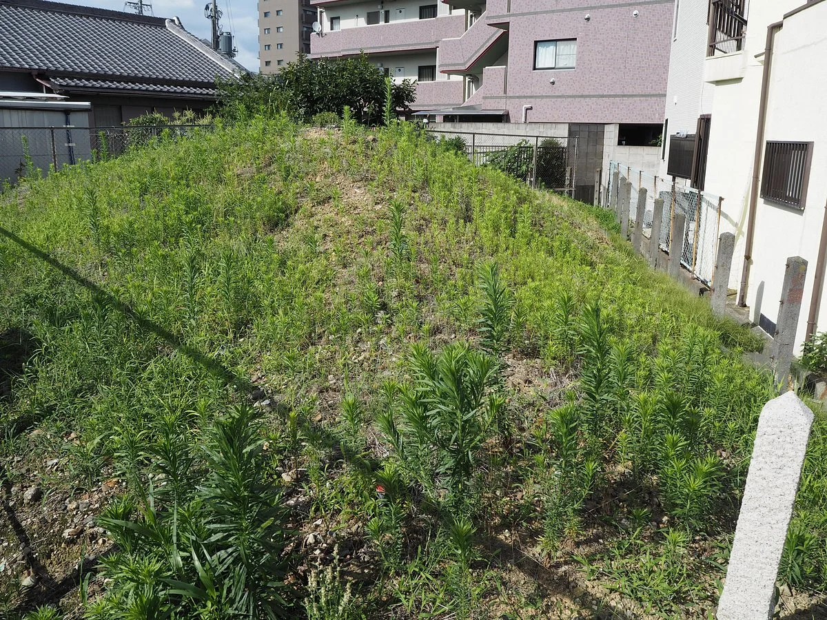 Bozuyama Burial Mound