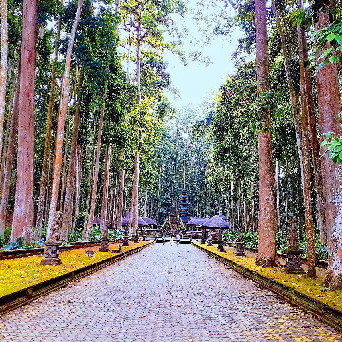 Sangeh Traditional Village - Day Tours