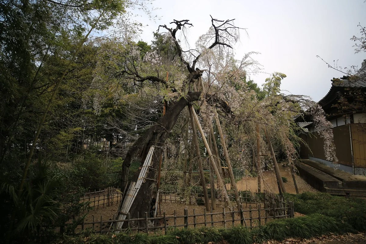 Mangan-Ji Temple