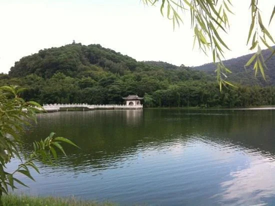 Tongsha Ecological Park