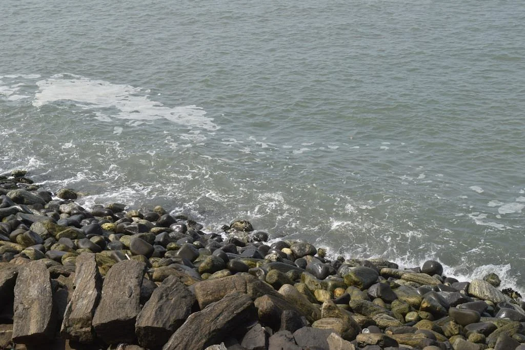 Sea View Park