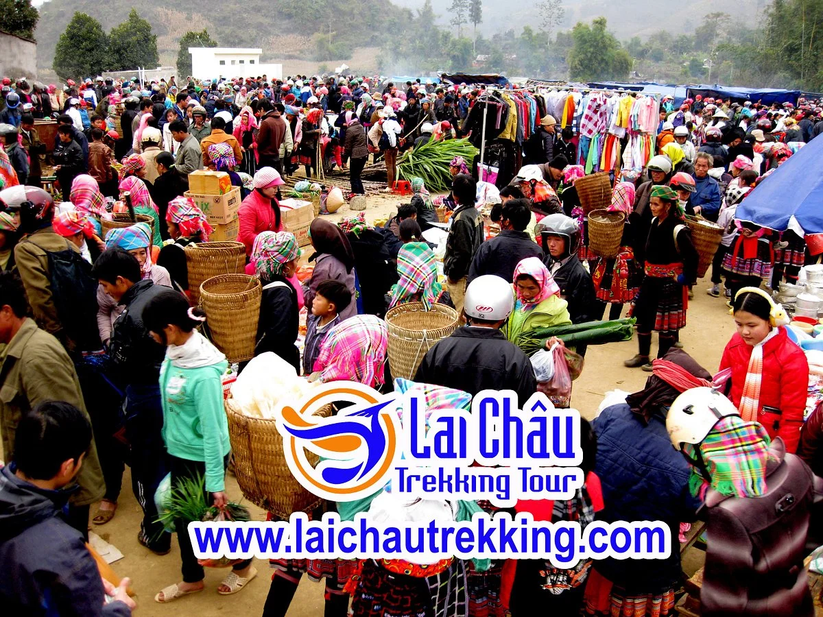 Tam Duong Market