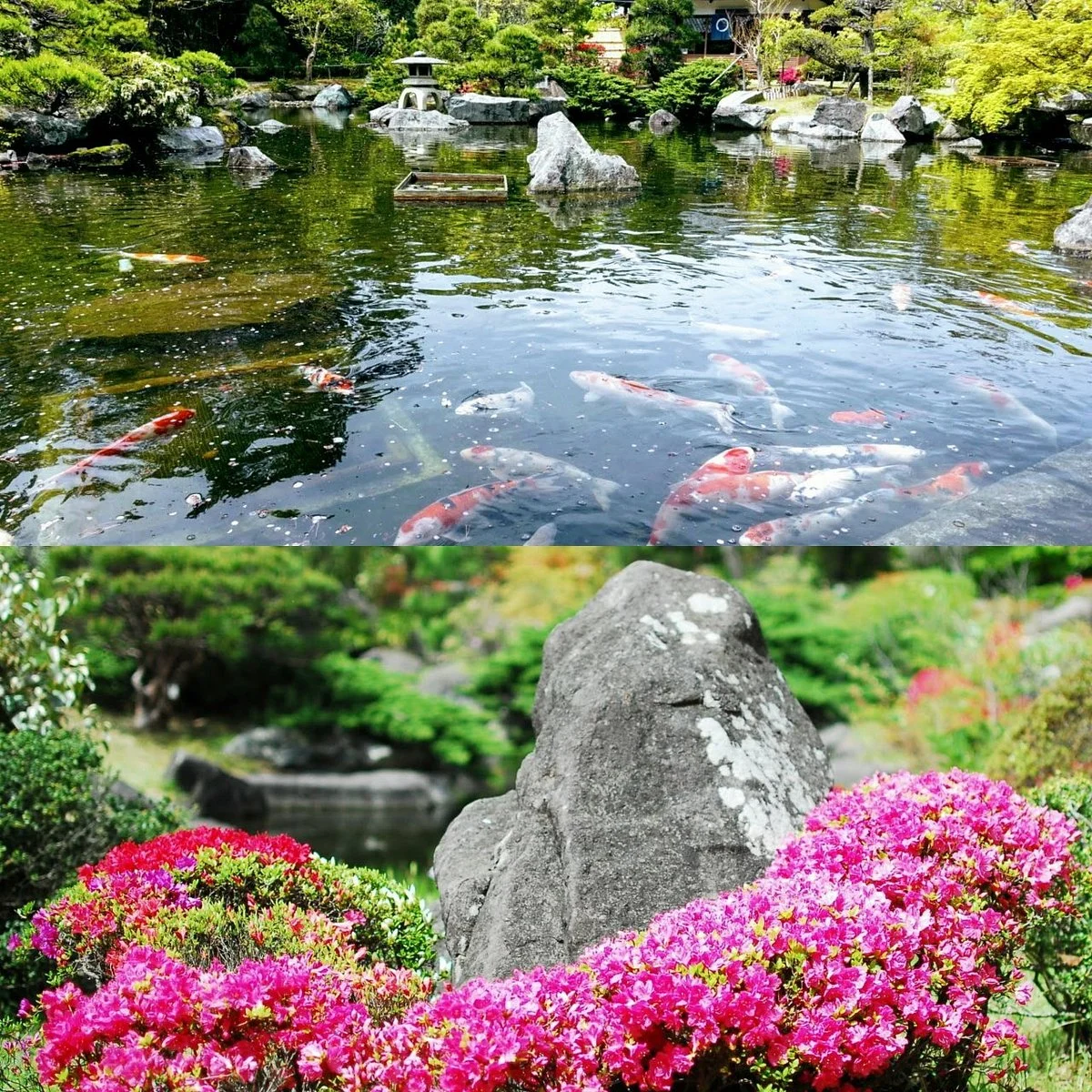 Hayam Shiosai Park