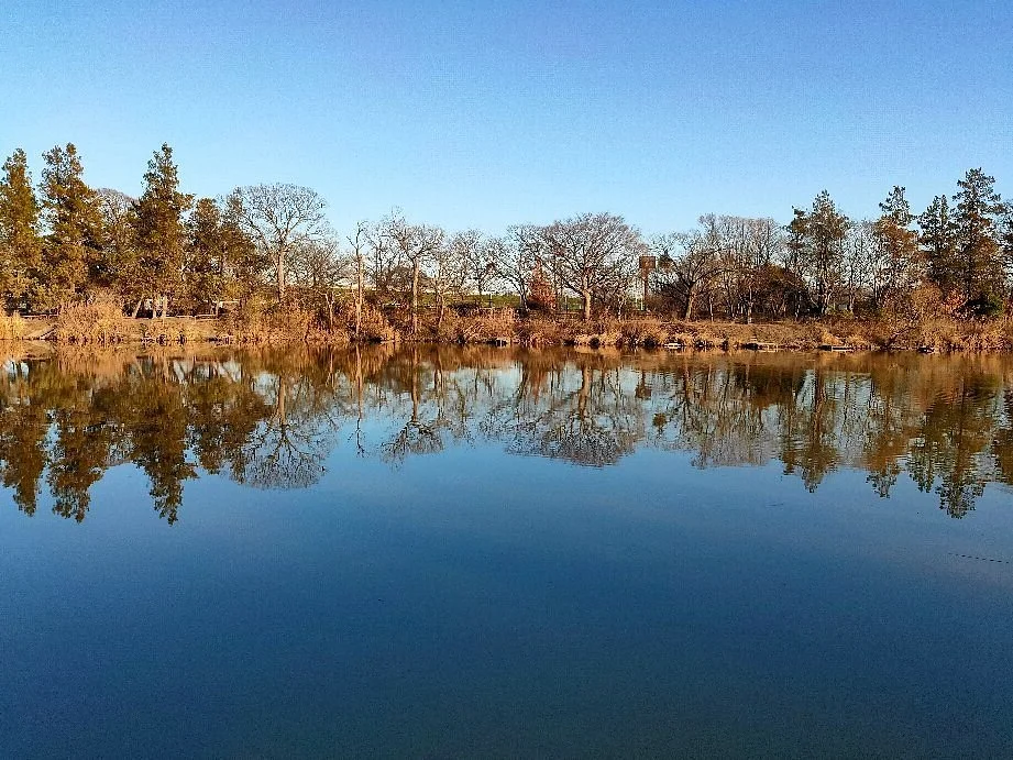 Saiko Doman Green Park