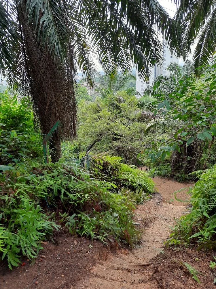 Bukit Melati Nilai