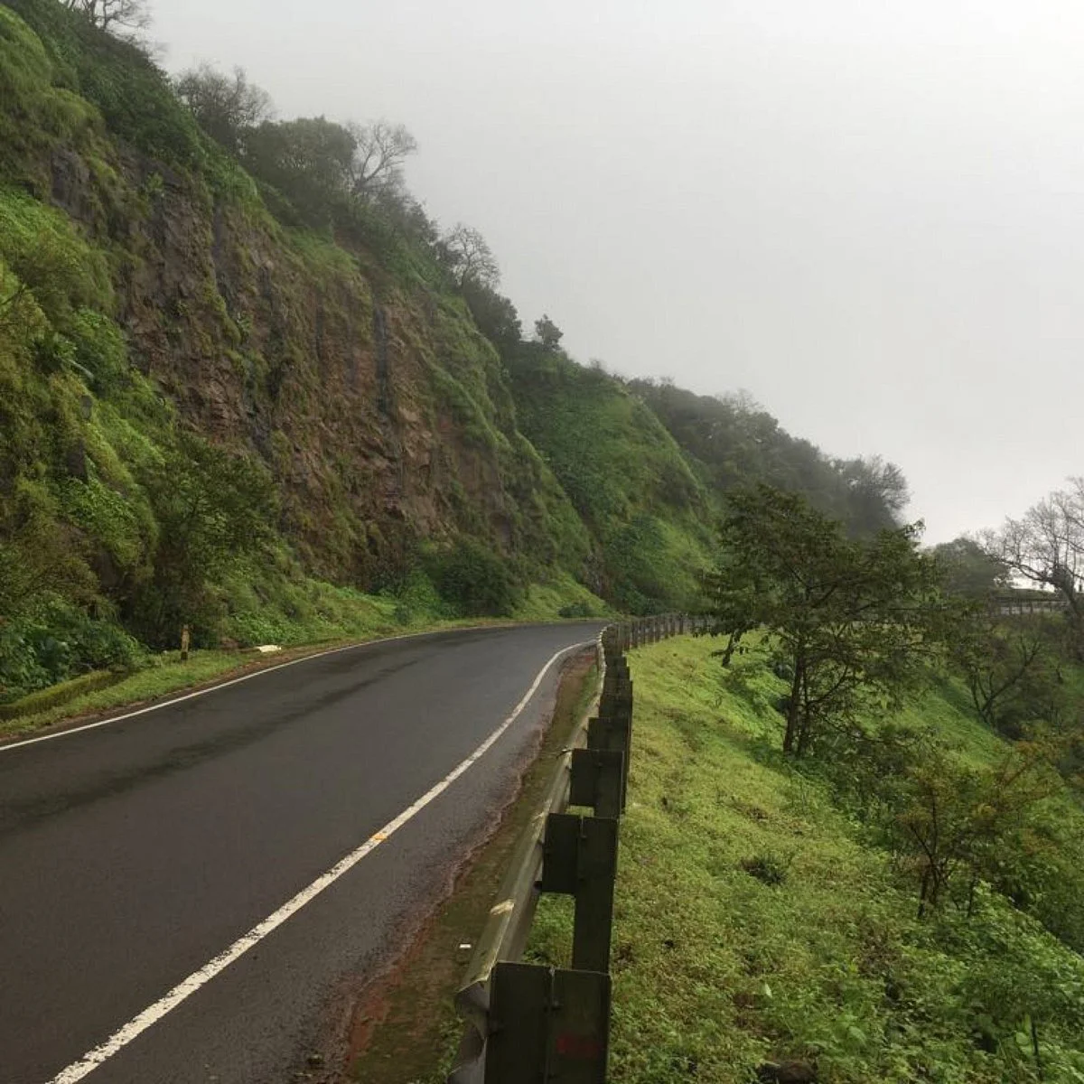 Mhadei Wildlife Sanctuary