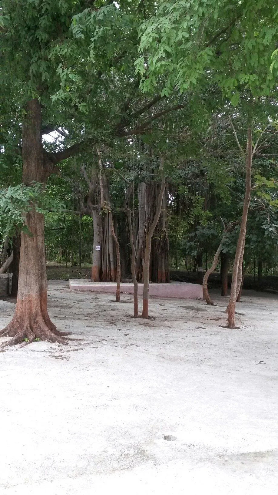 Sarkhadiya Hanuman Temple