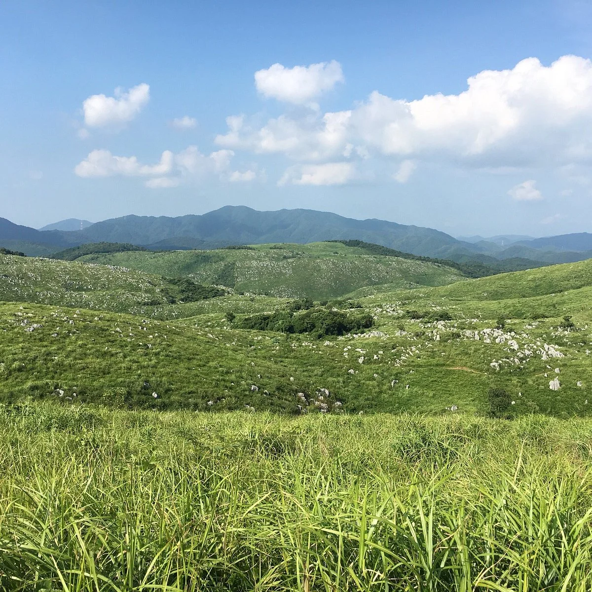 Akiyoshidai Observation Trail