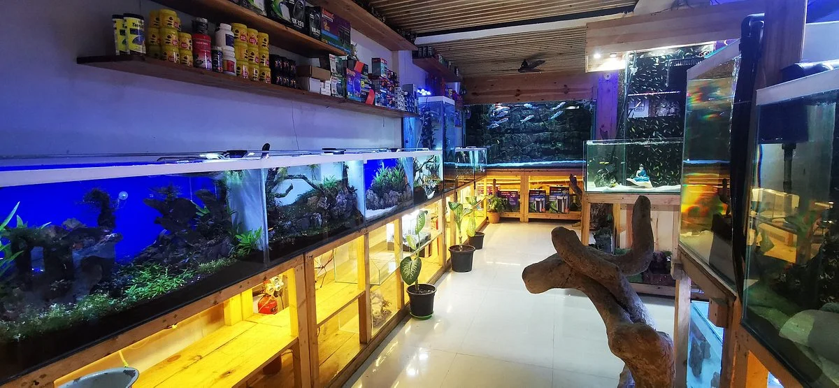 Blessings Aquarium