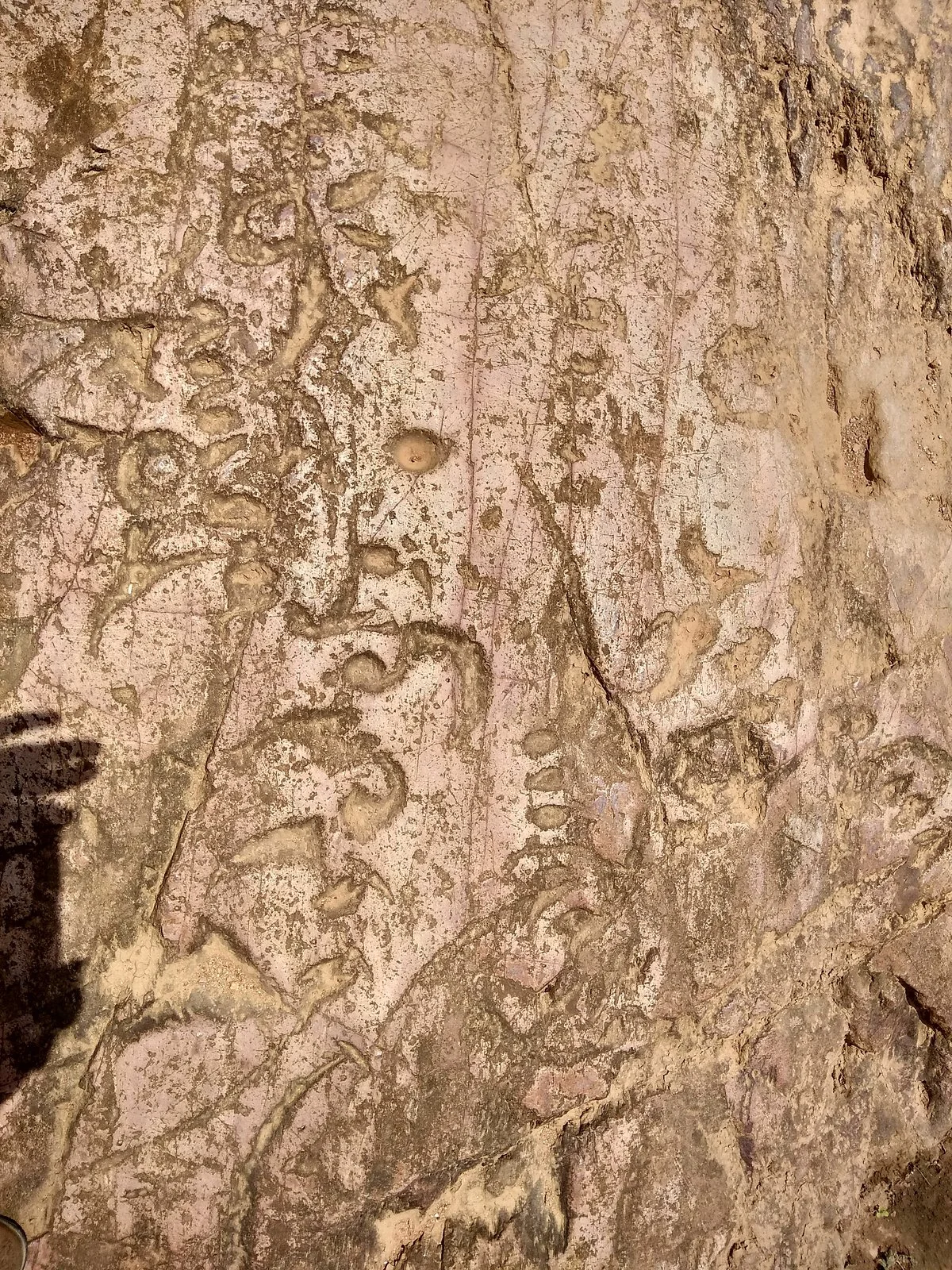 Shankhalipi Inscriptions