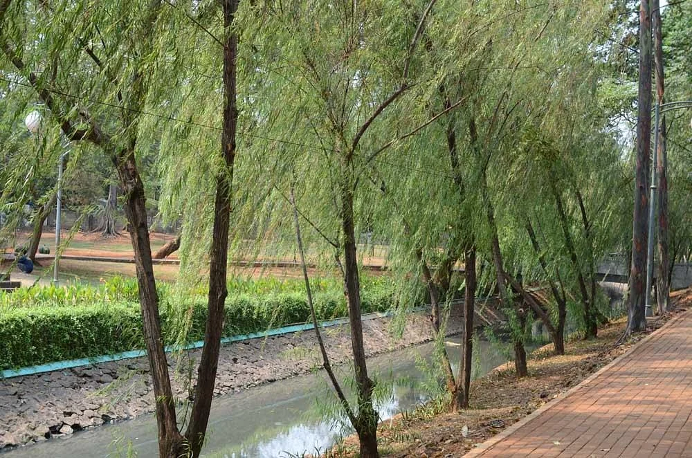 Taman Honda Tebet