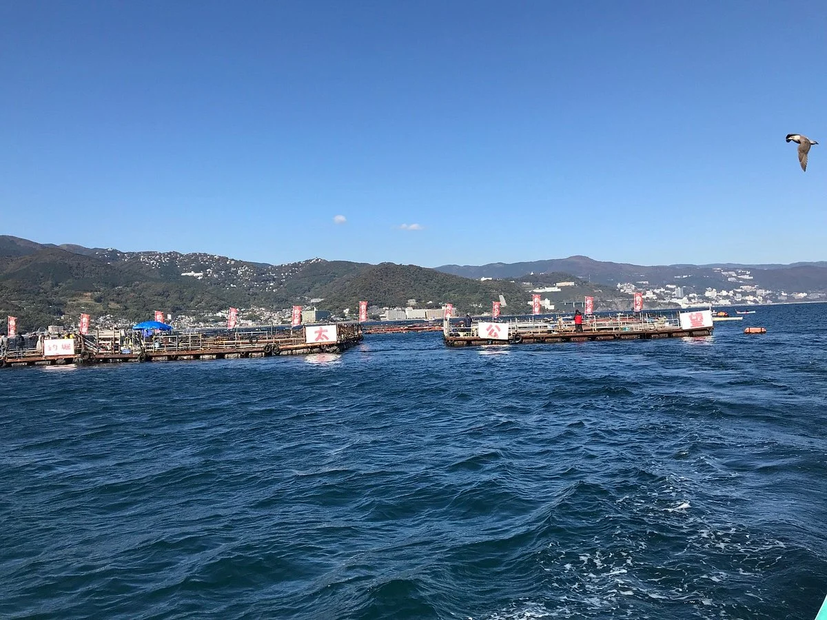 Ajiro Harbour