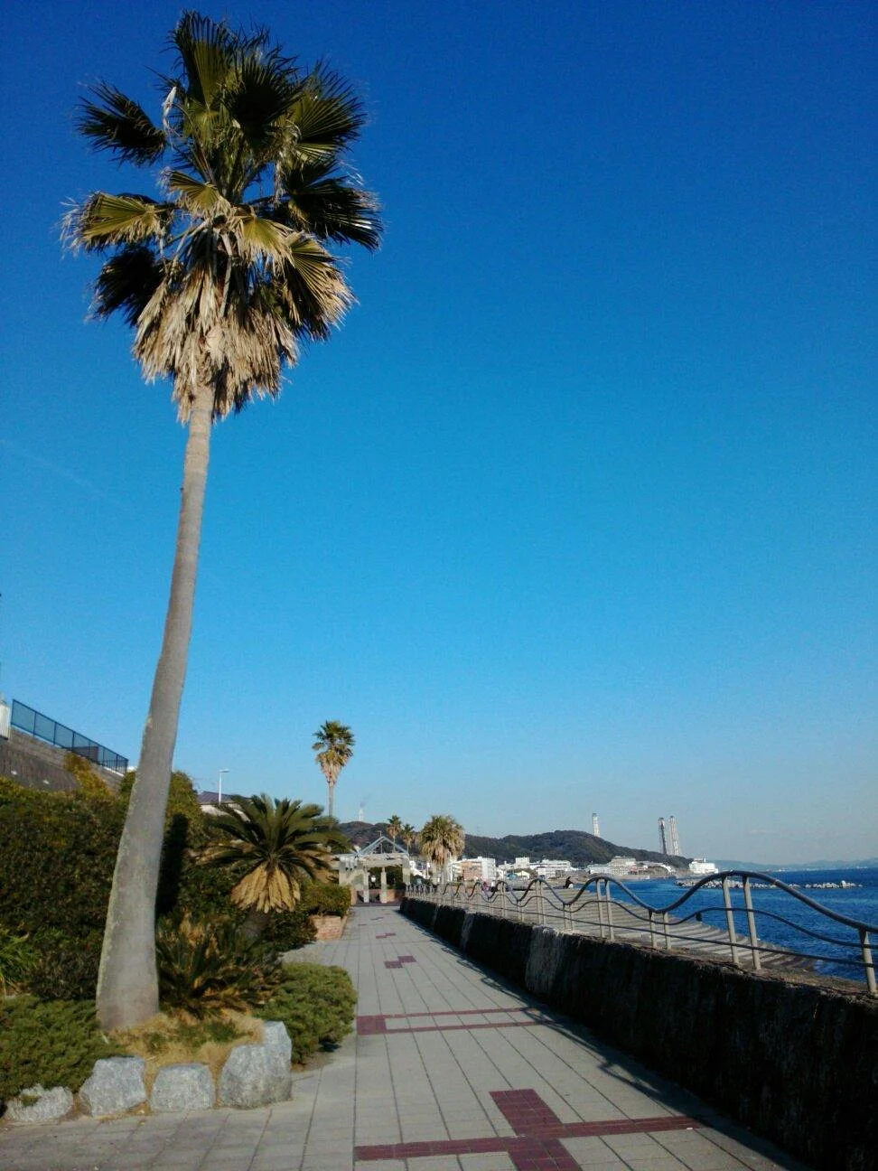 Nobi Kaigan Park