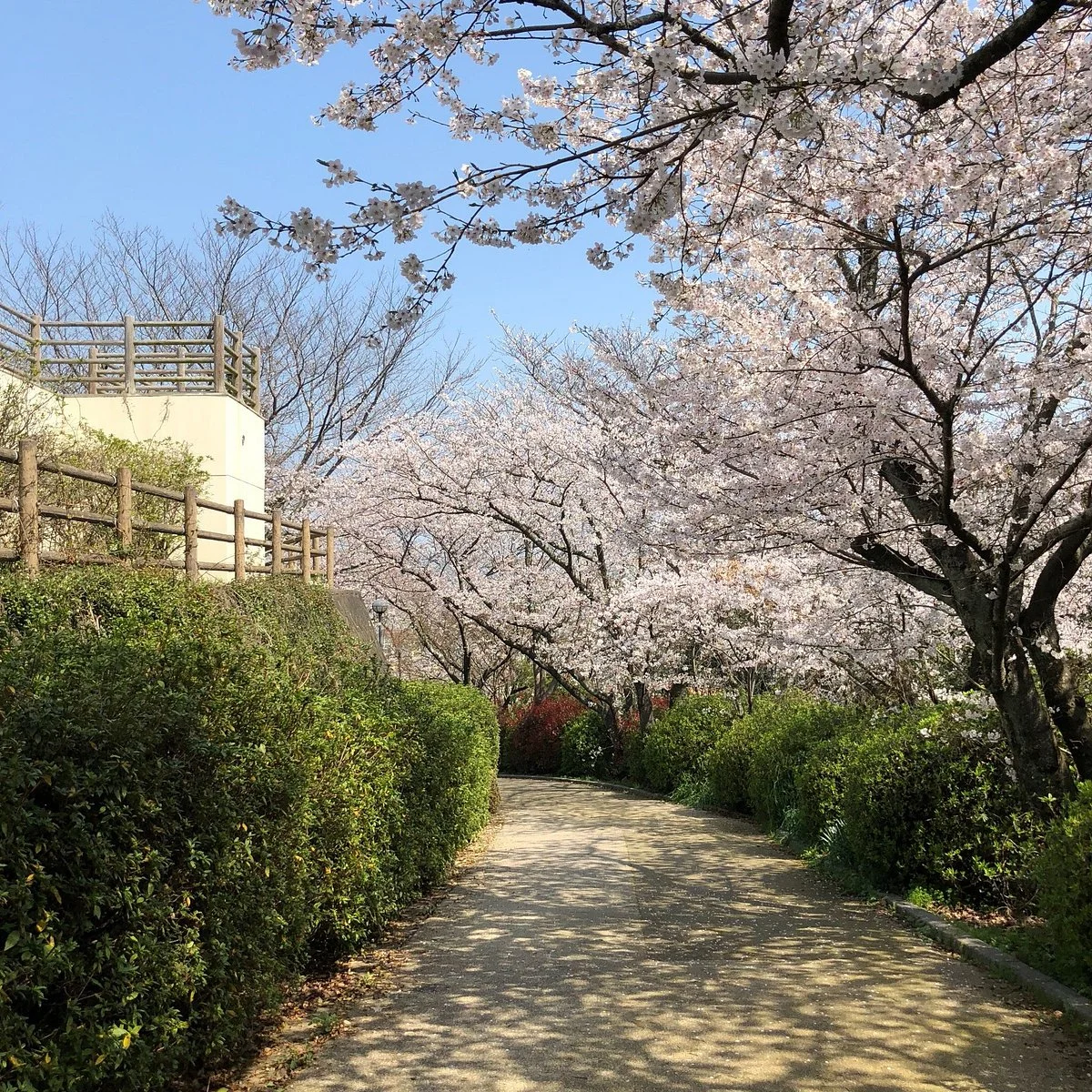 Sasayama Park