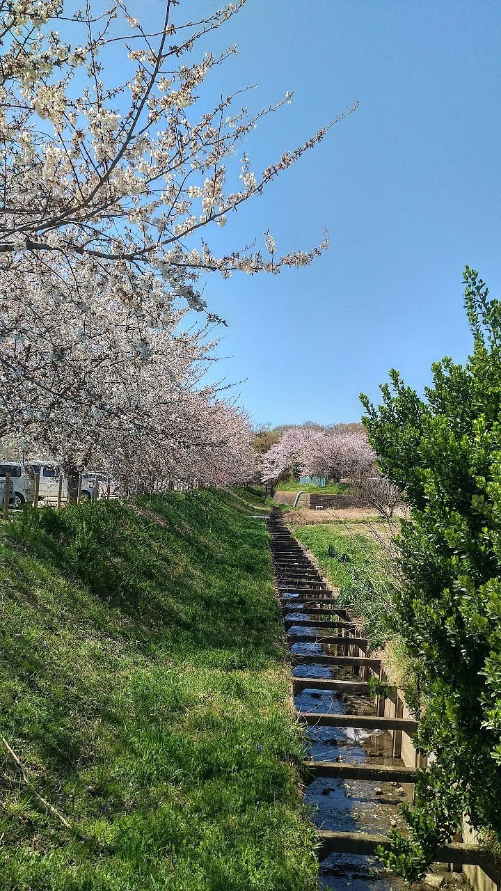 Kitamoto City Kodomo Park
