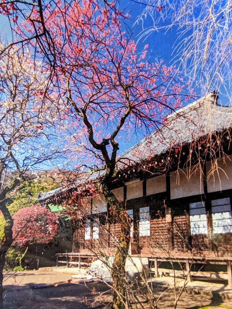 Myokaku-ji