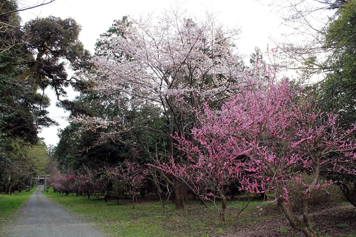 Ashizumi Shrine, Yukisugi Temmangu